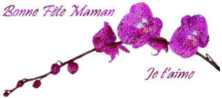 Gif animé bonne fête mamans fleurs